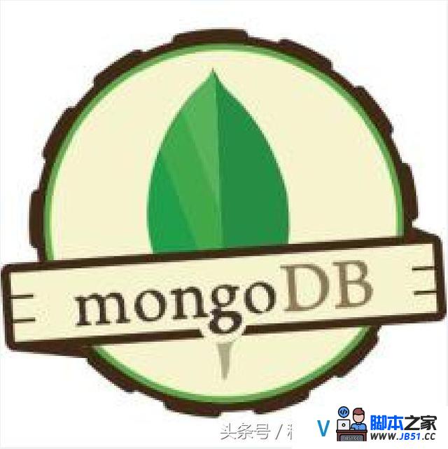 MongoDB 查询分析