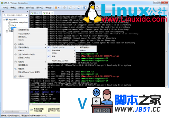 非桌面版Linux 安装VMWare Tools