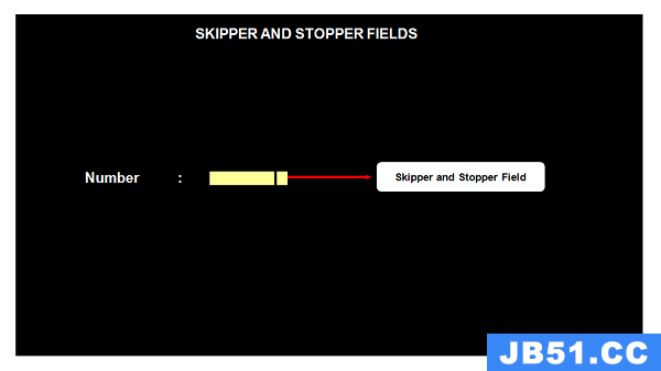 CICS Skipper Stopper Field