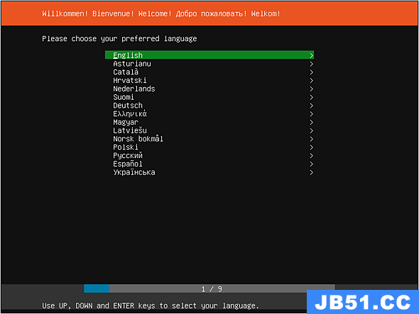 Ubuntu Server 20.04 中的 Subiquity 设置