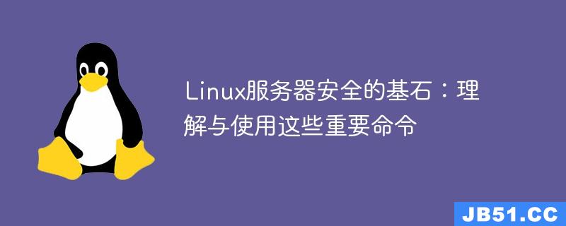 Linux服务器安全的基石：理解与使用这些重要命令